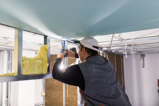 Best Insulation for Specific Applications in Hollywood, FL