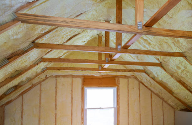 Best Cellulose Insulation in Hollywood, FL