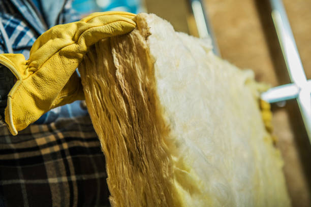 Types of Insulation We Offer in Hollywood, FL