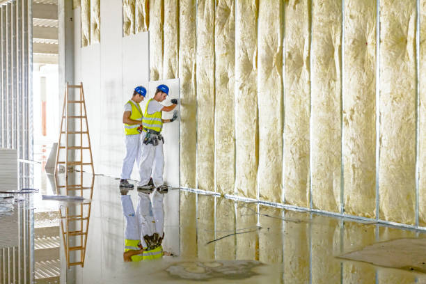 Best Residential Insulation in Hollywood, FL